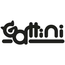 Gattini